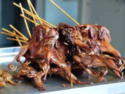 Brochettes de poulet